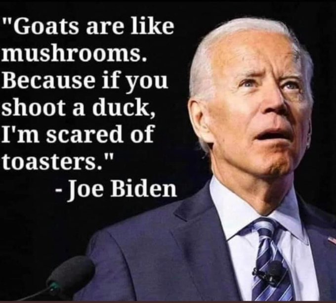 FrankCa04476883's tweet photo. @LeahR77 I think we'll see Big Mike come in soon. I'm guessing September. There's no way the deep state is sticking with Biden. The guy can't even form a complete sentence. https://t.co/lgvqFCDm0t