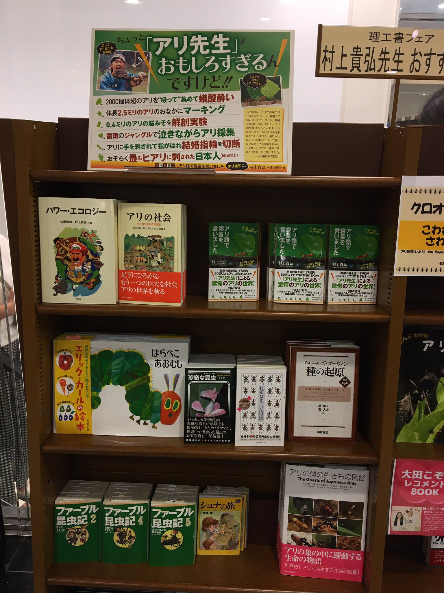 しぶちん 勿論こちらも確認 リトル リー 購入 大田こぞう ジュンク堂書店福岡店 T Co Ujdozpm1xm Twitter