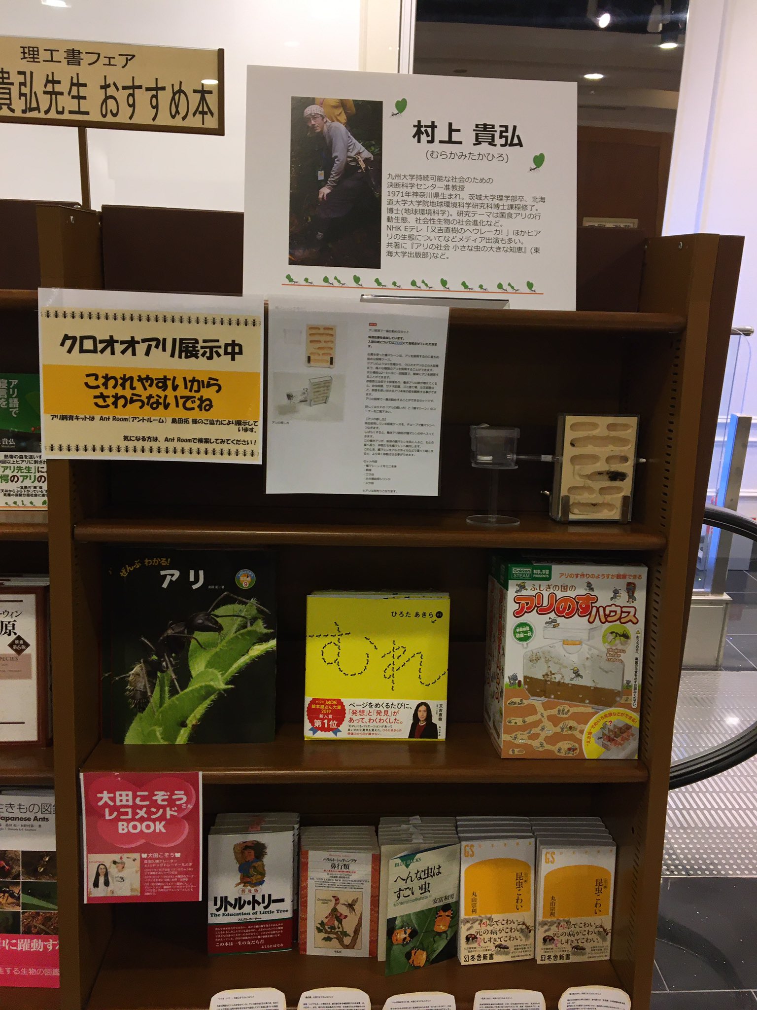 しぶちん 勿論こちらも確認 リトル リー 購入 大田こぞう ジュンク堂書店福岡店 T Co Ujdozpm1xm Twitter