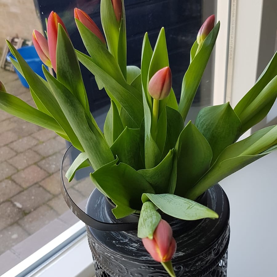 Hoera! We feliciteren vandaag onze collega Ronny. Onze super conciërge is vandaag jarig!.#fijneverjaardag #hiephiephoera