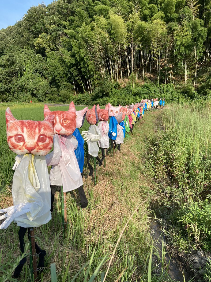 ドライブをしていたら狂気しかないカカシを見つけた 儀式感強っ 足を踏み入れると猫にされてしまう村 などホラー感漂う Togetter