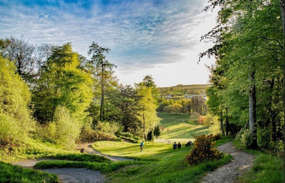BollardsPub's tweet photo. Best of luck to everyone playing in today's Captains Prize in @CastlecomerGC today. What gorgeous weather for it #golf #castlecomer https://t.co/xAOArb3f7z