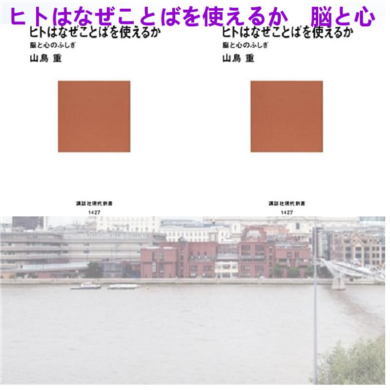 よだなかあすか しぐさ を見れば 相手の本心が怖いくらい読める 人は 全身 でモノをいう T Co Gtpxeodki2 マンハッタンラブストーリー 深澤仁博 シャン バイ シ メン ソング 春日錦孝嘉 太田三田 桑沢あきお アールエムケー 櫻井拓章 水田
