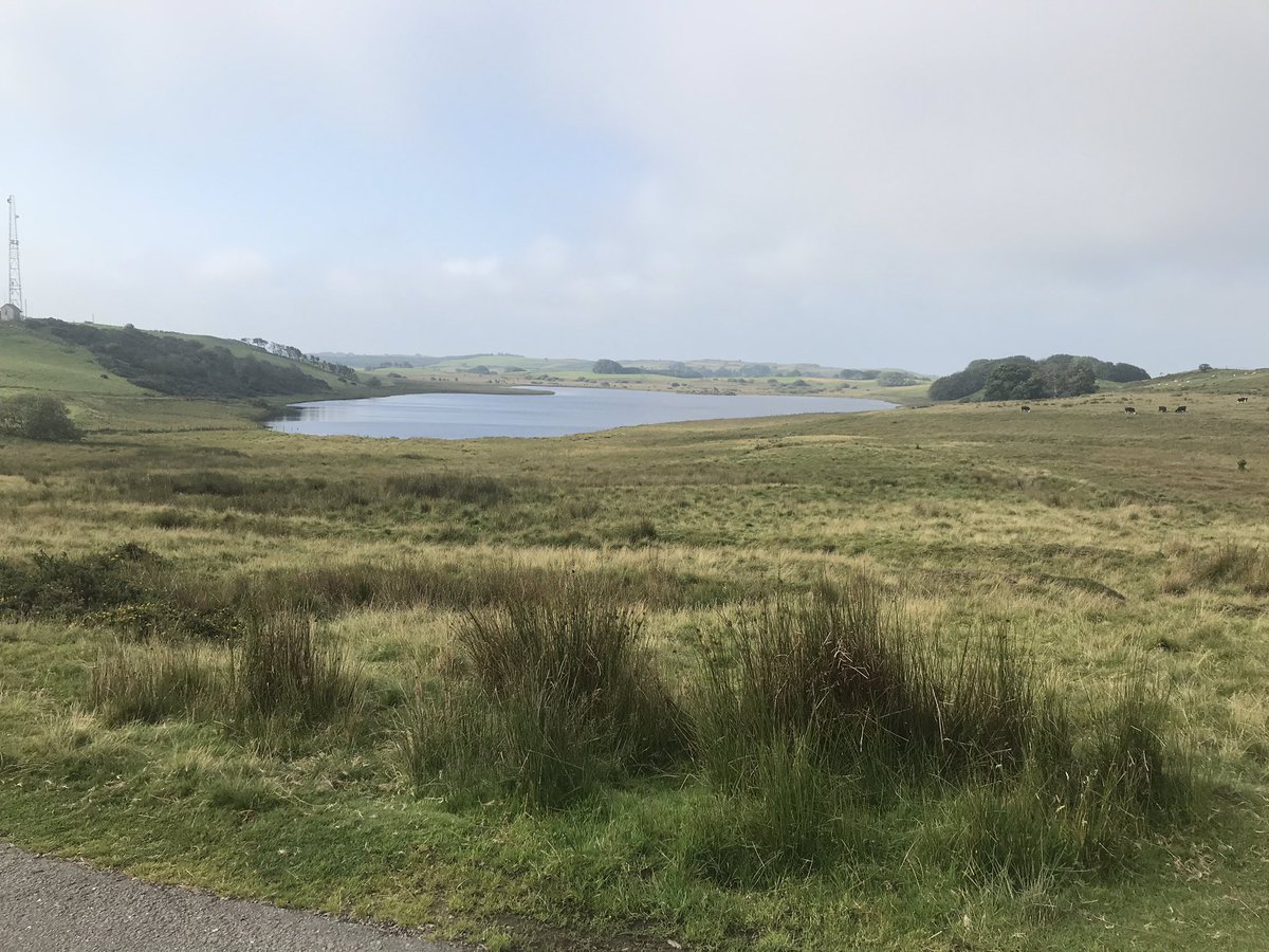 Daijones26's tweet photo. Lush C&C ride this morning to Tregaron via the beautiful but elevated Llyn Eiddwen!
Fuelled by @costacoffee, @spar bacon bap and @watt_nutrition Watt balls. Now for the long slog home. #C&C #coffee #bap #balls #craptri #wantthewant #walesislush https://t.co/iyVcrto5jm