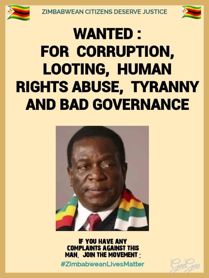 umzamocapital's tweet photo. Wanted for corruption, human rights abuses, tyranny & bad governance
If u have any complaints against this man join #ZimbabweanLivesMatter
How to participate
*Perform #SoloDemo at home with a placard highlighting concerns, cover ur face & share with @PacheduZW or @DougColtart https://t.co/RxFCkUdbLT