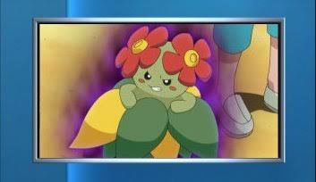 アルコバレーノ En Twitter Anipoke Pokemon 前にもキレイハナが怖い事があったなw アルコバレーノ En Twitter Anipoke Pokemon 前にもキレイハナが怖い事があったなw