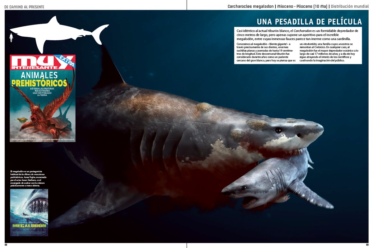 Platybelodon intentando desesperadamente escapar de las fauces de Megalodon  : r/Naturewasmetal, image size:1200x799