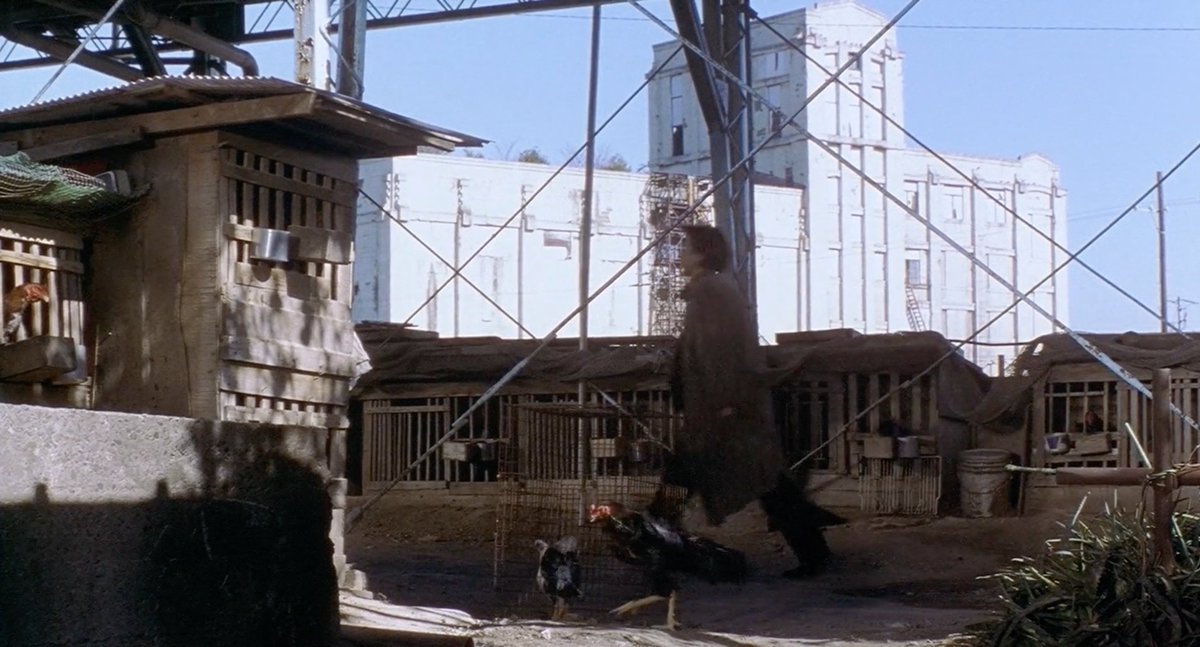 Background X shapes I noticed (1/5)Supports/wires/railings