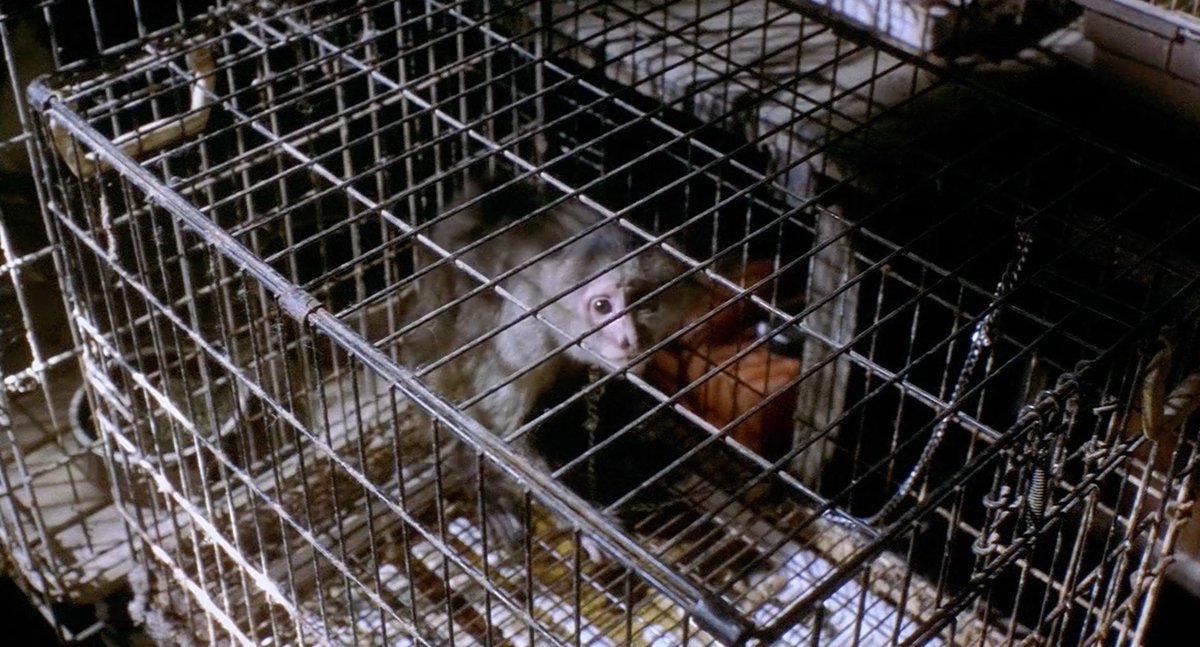 Background X shapes I noticed (2/5)Wires/cage bars/powerlines