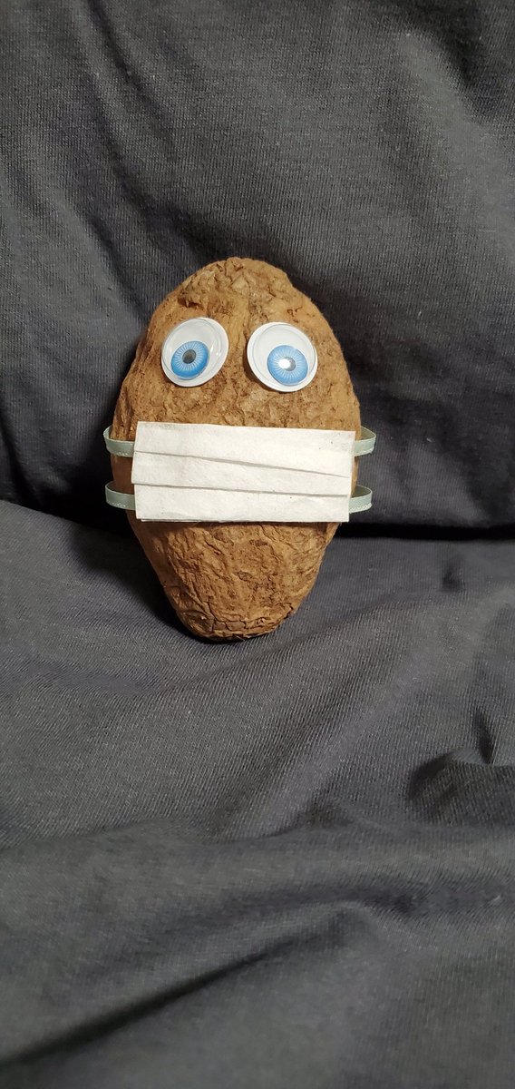 PotatoesMasked's tweet photo. Some of our #MaskedPotatoes are looking a little worse for the wear after this week.

#GISH #ThanksMisha #GISH2020 https://t.co/M8o0kbjYq7