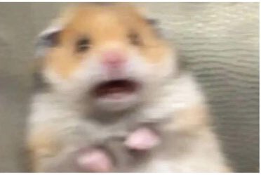 ced1694's tweet photo. Team WHES right now #gish #TeamWHES https://t.co/z6KQsnAIdP