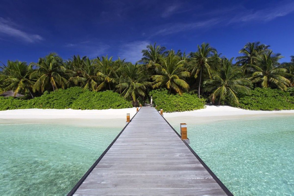 traveltrademv's tweet photo. A natural paradise with a lush island canopy, Baros remains a place of timeless elegance, reached just 25 minutes by speedboat from the airport. #BarosMaldives #ALegendinMotion
Repost from @BarosMaldive IG https://t.co/ycooPIR3KK
