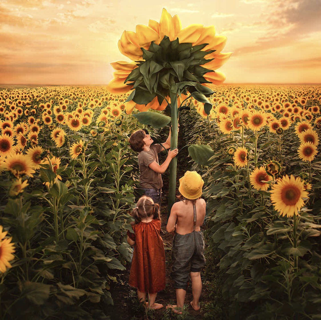 ���� ���� ������ �� ���� ������