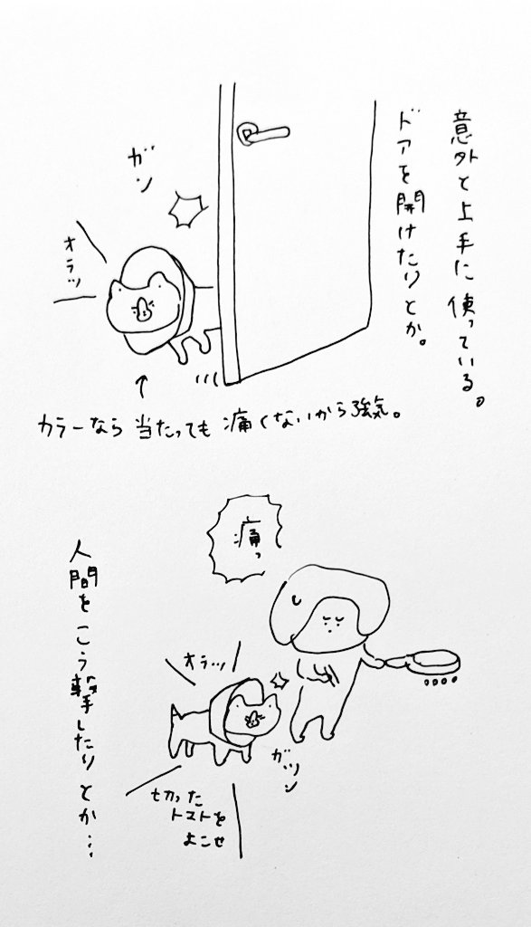 ニーニー氏、オメメが良くなって気持ちが若返りまくっています 
