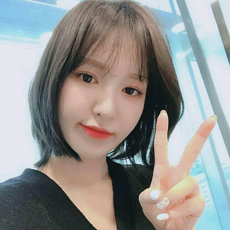 Hi!!!
Kenalin Mi cha💜
New in here

Mutualan ~ rt
Fambest ~ DM aja:)

#Rpw #rp #roleplayer #roleplayerindonesia #rootrp #roleplayerindo #rootindo #roleplayerkpop