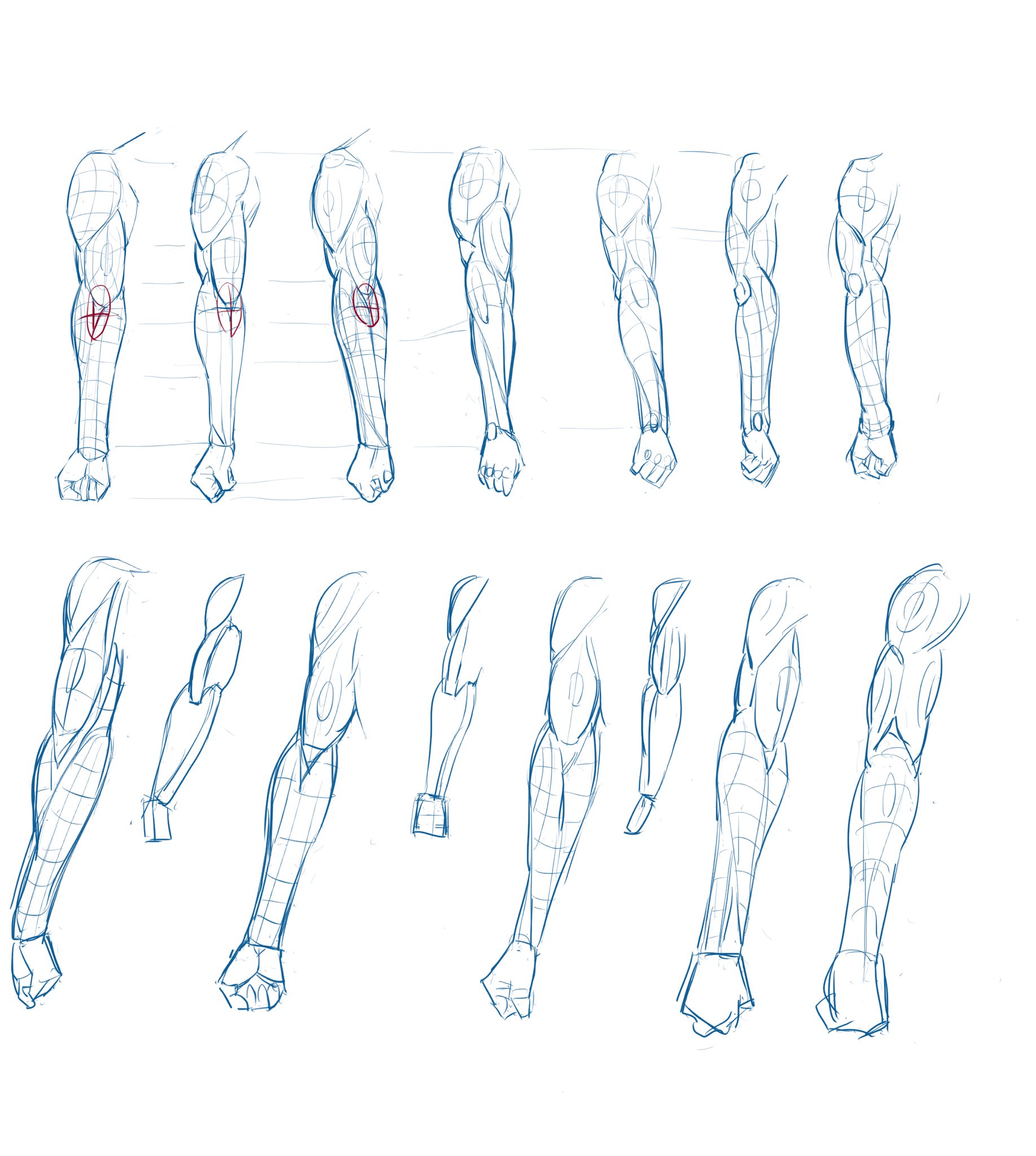 Poruna 漫画素材工房模写練習 手首先の回転と上腕回転が連動しているのを理解 上腕二頭筋の下端と内肘の位置ってイコールじゃないのか ふむふむ T Co Smpyicnuai Twitter