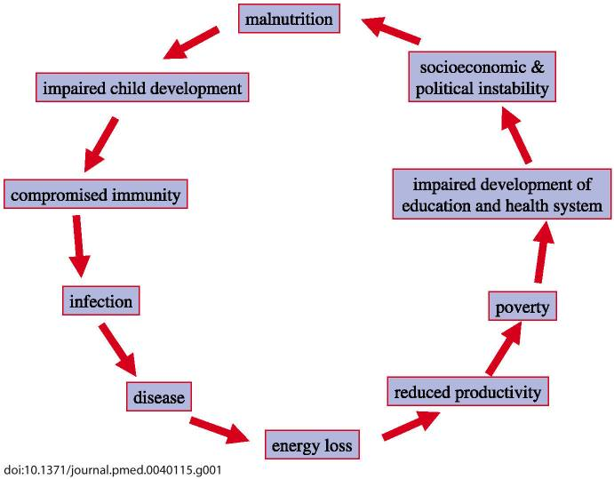 2. Protein-Energy Malnutrition: Protein-energy malnutrition (PEM) is a common nutritional problem that principally affects young children and the elderly. PEM significantly increases susceptibility to infection by adversely affecting both innate immunity and adaptive immunity.