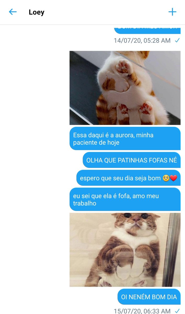 baekbbaee's tweet photo. Em que Byun Baekhyun todos os dias, sem falta, envia fotos de seus pacientes para seu ídolo, o cantor Loey
Ou
Em que Park Chanyeol, também conhecido como Loey, acha muito fofo receber fotos de gatos em cima de mesas de vidro de um certo fã https://t.co/mhl8tfM2mu
