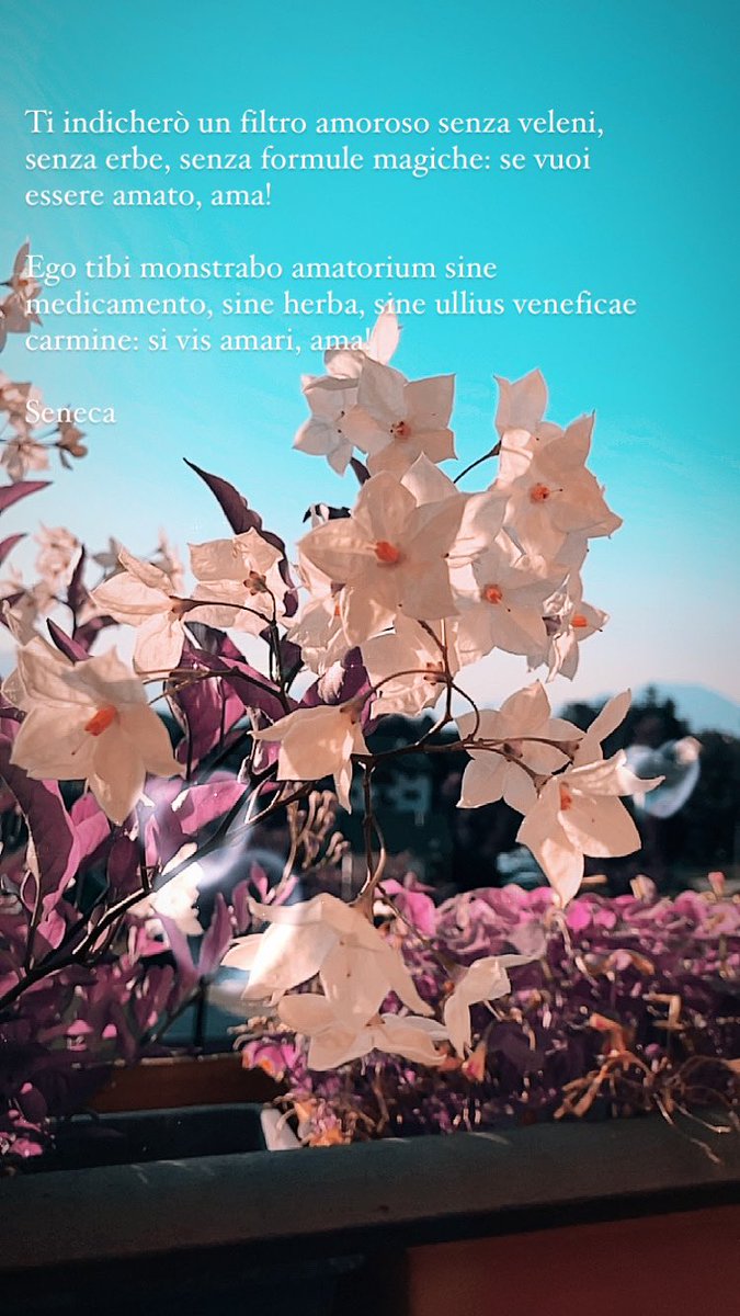 acidoerose's tweet photo. Ti indicherò un filtro #amoroso senza veleni, senza #erbe, senza formule #magiche: se vuoi essere amato, ama! #Seneca https://t.co/EM07L5iiDv