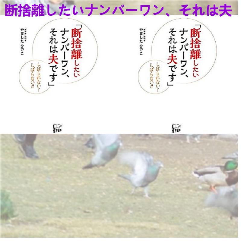 よだなかあすか 孤独な世界の歩き方 ゲイの心理カウンセラーの僕があなたに伝えたい7つのこと T Co Yr5eqzhsmh 有吉佐和子 泉州山久義 Akbホラーナイト アドレナリンの夜 西山道隆 隆の勝伸明 まるはま 弓木城 内山俊彦 19年生のサッカー選手