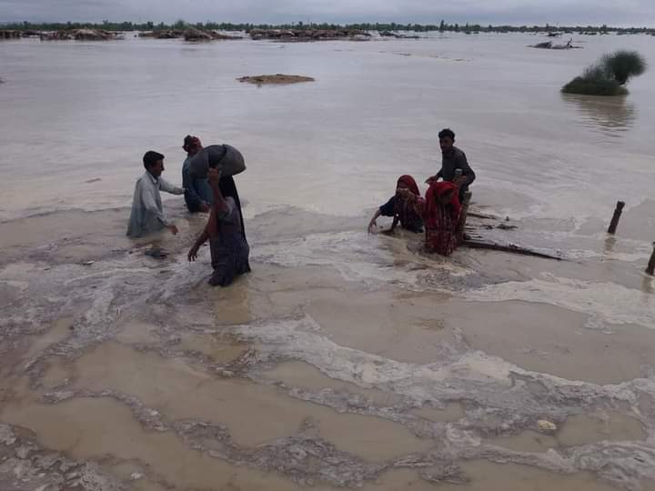 AliRind's tweet photo. Karachites keep complaining of unfair treatment by #PPP & are envious of Sindhis under PPP rule. Kindly have a look what rural population's life style & possession is.#johiNeedsHelp https://t.co/NnOdVRnzfC