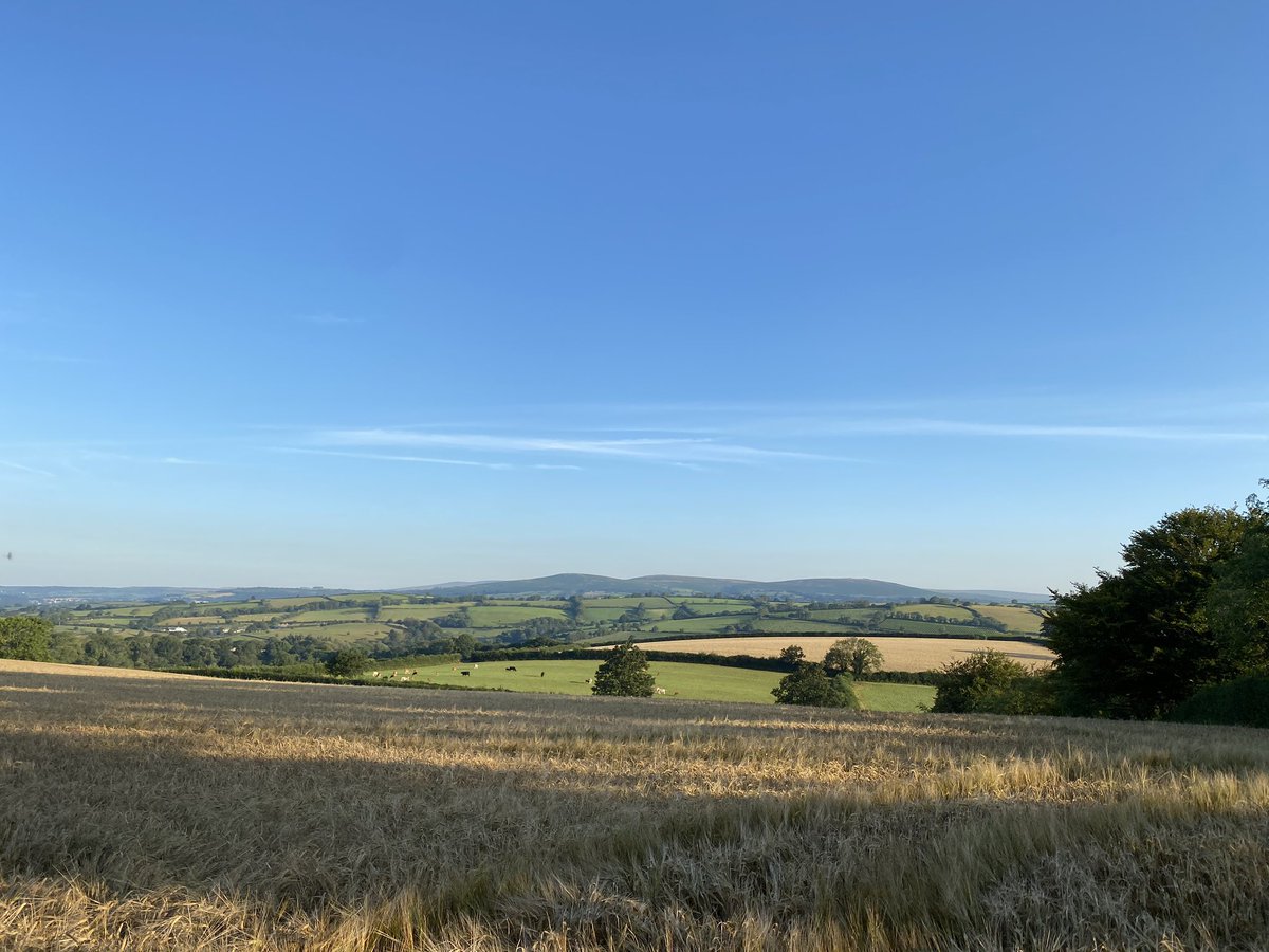 HannaG___'s tweet image. Morning from Devon!! #devonisheaven #southdevon it’s hot for running already