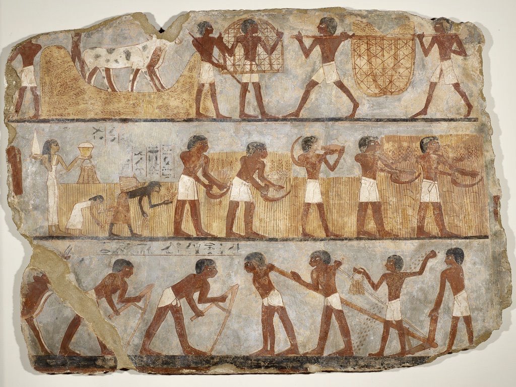 RhodaNunn's tweet photo. Should this ancient fragment be returned to #EGYPT? @maltainegypt #LootedArt #UnJourUneOeuvre https://t.co/Sbl972nxw8
