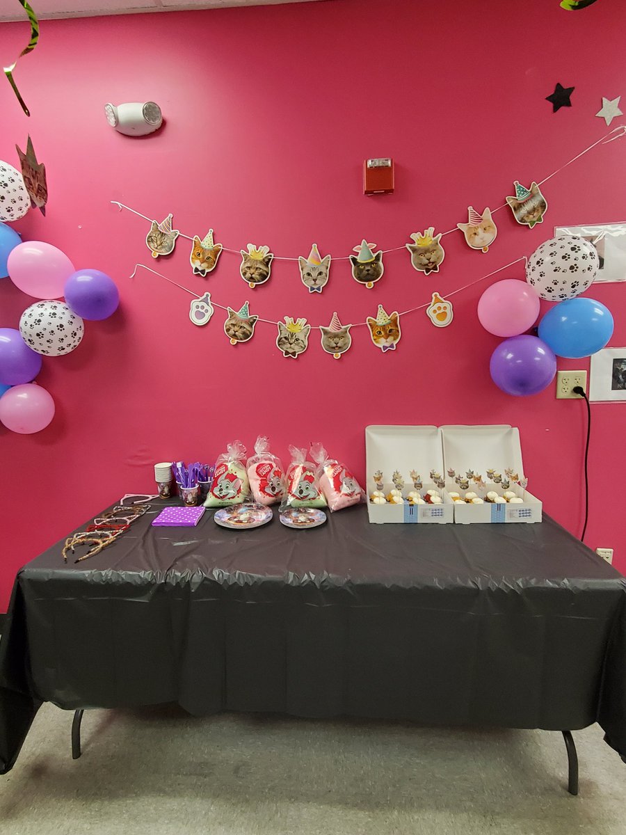 Adriana_Lopez93's tweet photo. I have the best team!! They helped celebrate my birthday with a cat themed party!!Thank you! @SAlyssiaBeltran #TMobile #Magenta #uncarrier https://t.co/8X2XWEja0N