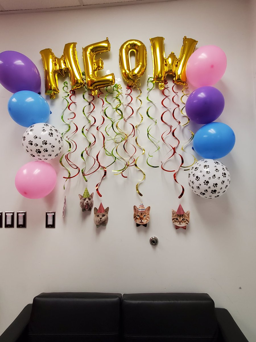 Adriana_Lopez93's tweet photo. I have the best team!! They helped celebrate my birthday with a cat themed party!!Thank you! @SAlyssiaBeltran #TMobile #Magenta #uncarrier https://t.co/8X2XWEja0N