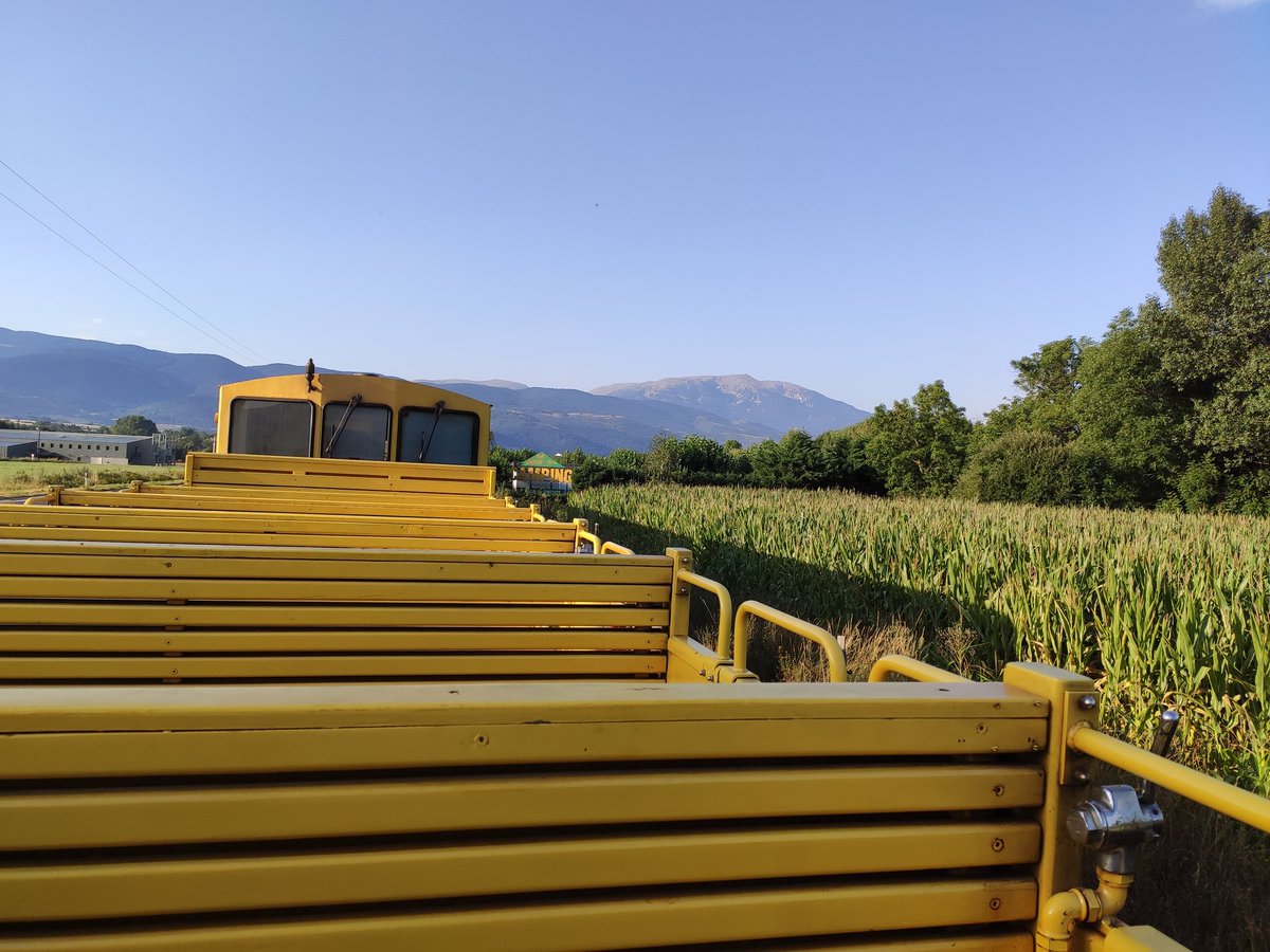 Le Train June such a nice experience day with kids