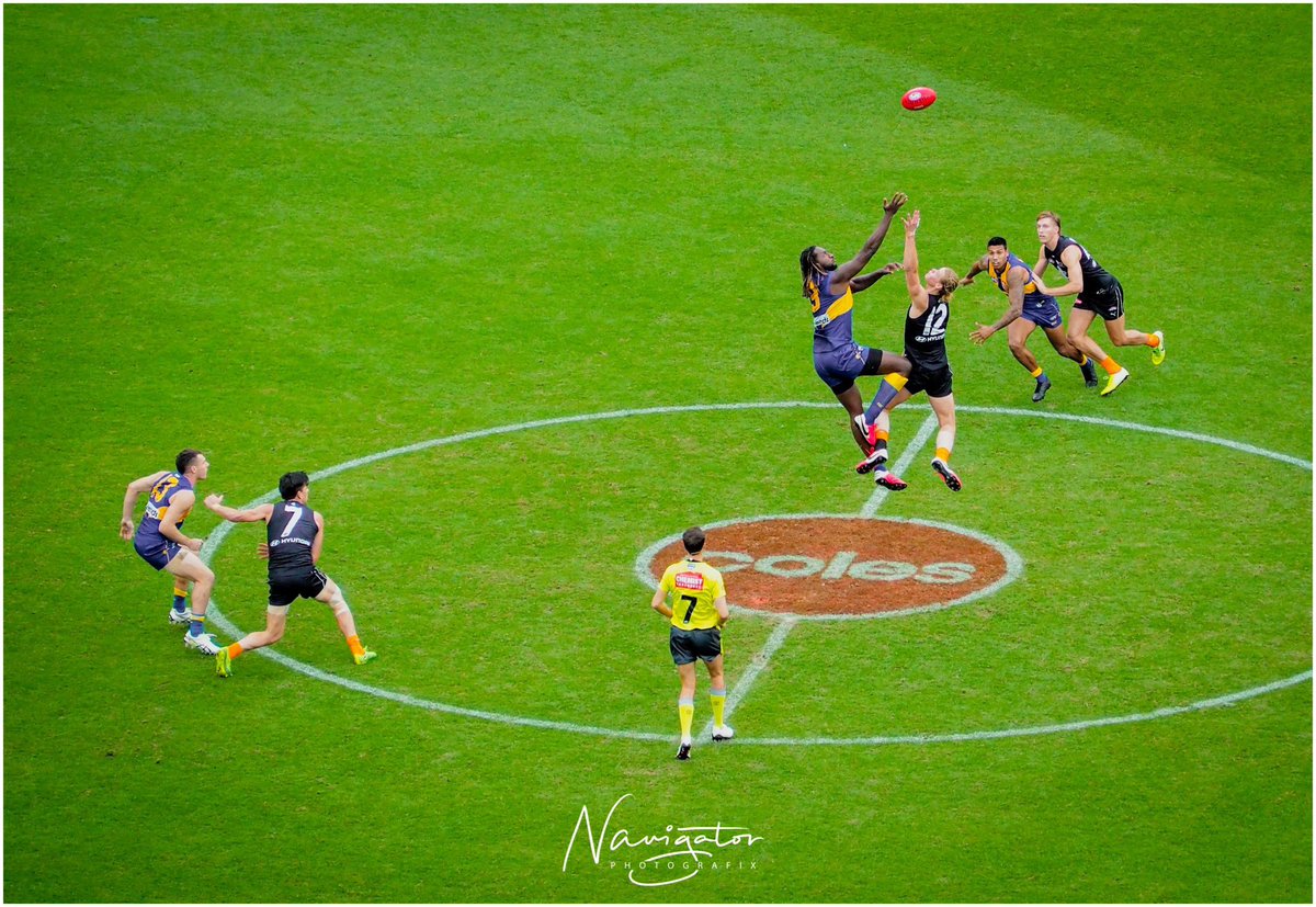 Tweet_Geoff's tweet photo. Up Up and away with @NicNat airlines • come on @WestCoastEagles bring this home https://t.co/xxqM78HRln