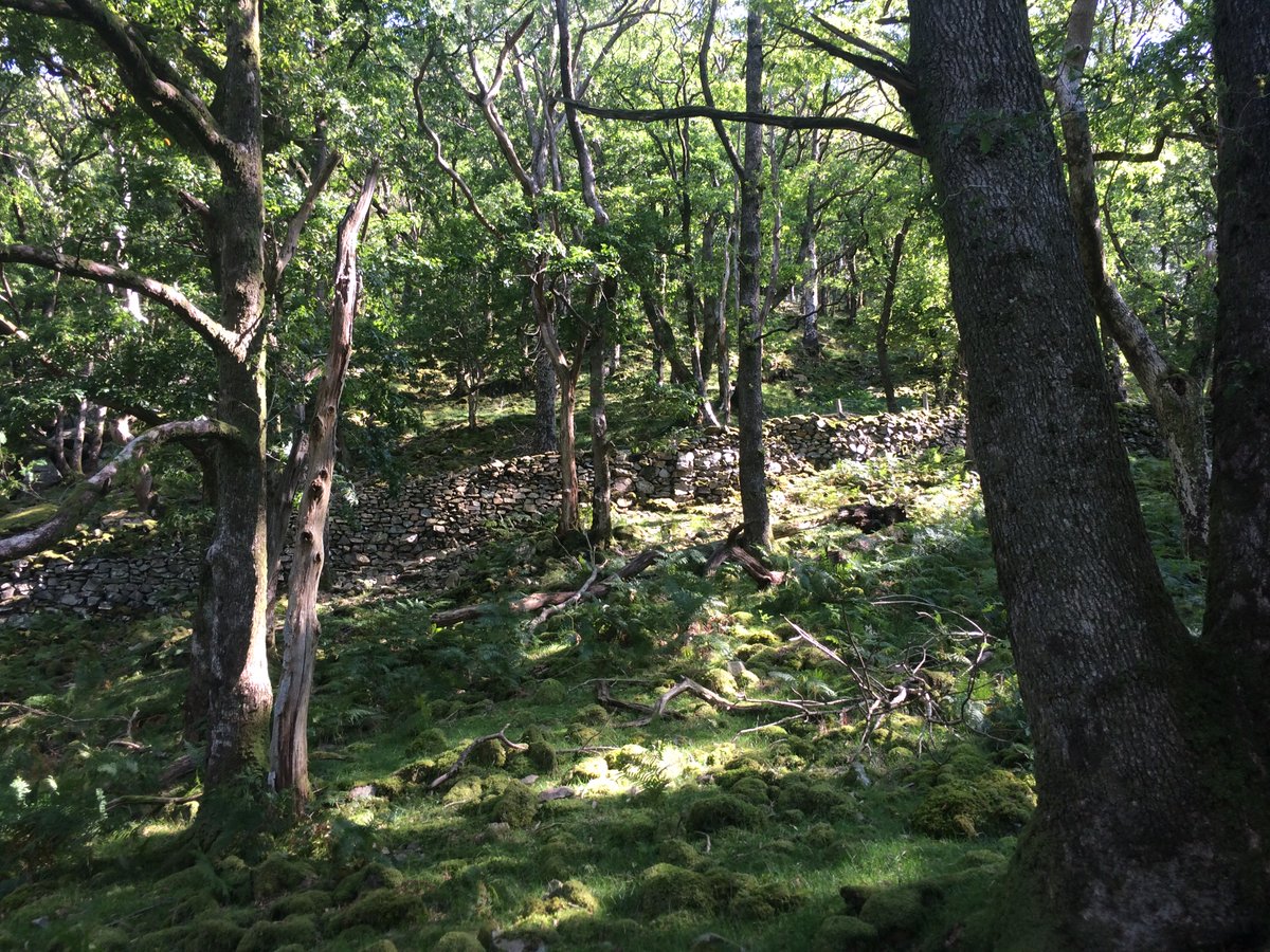 800 years ago, Fountains Abbey ran a thriving dairy farm until inter-monk disputes with Furness abbey saw King Edward confiscate it, to shut them up.(He sold it back to Yorkshire's monks for 40 shillings).An eerie sound of metal scraping stone made hairs on my arms stand up.