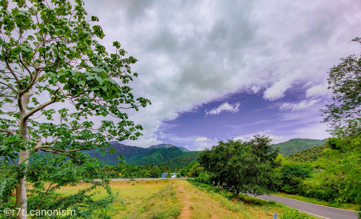 richierich981's tweet photo. Your perception changes reality and your reality changes perception
#landscapephotography #landscapeart #sirumalaiforest #reserveforest #shotononeplus #oneplus7t  #forestdelic  #wideangle #foresthills #forestlovers #mountains #nature #naturetherapy #r7t_canonism https://t.co/MzRfRXeWQg
