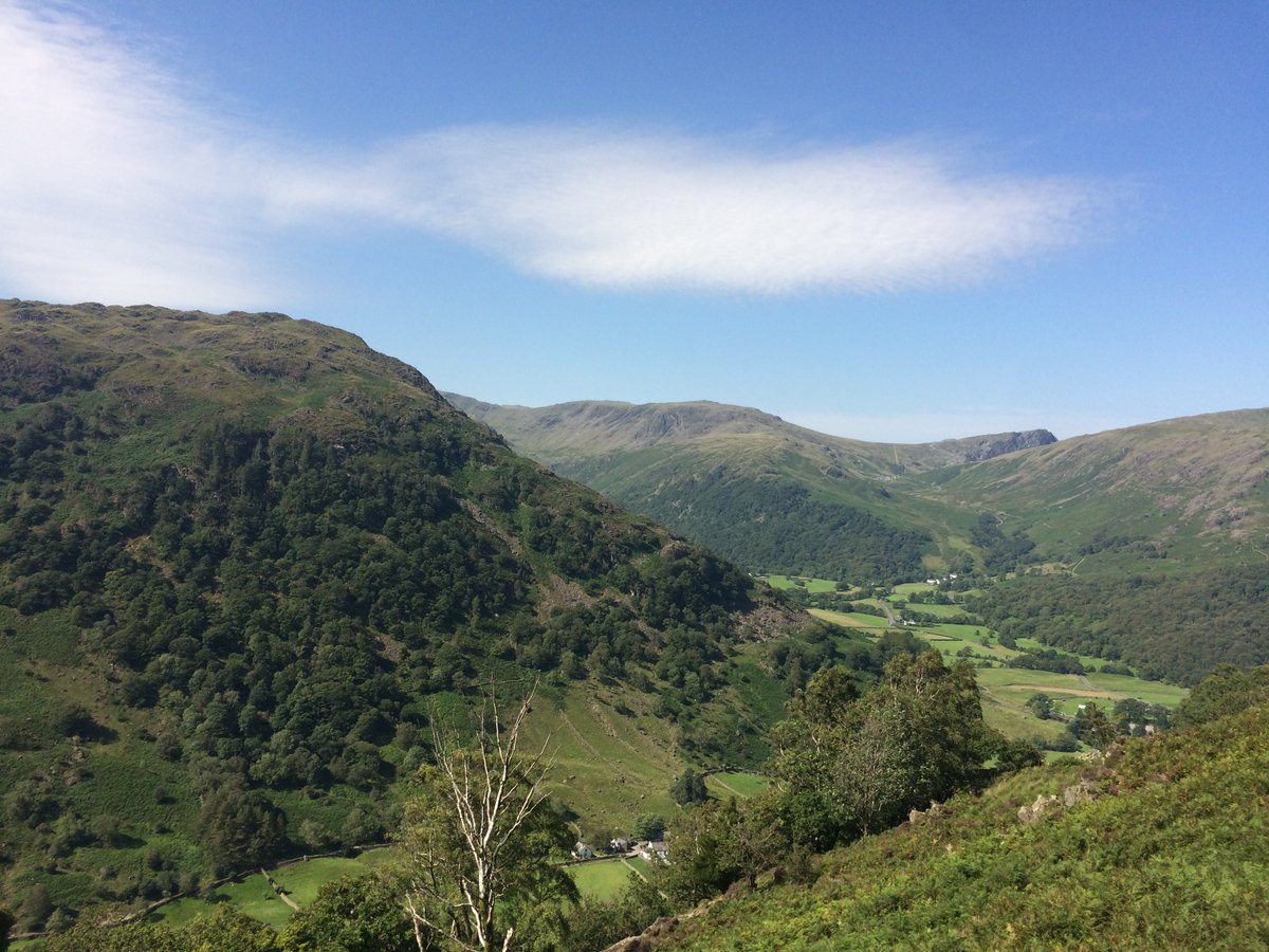 I'd been admiring the well-maintained, rather extreme path.  @fixthefells had been clearing & checking it. Felt like a red carpet being laid out for me.Two nuthatches started fighting in a tree, fell to the ground. It was so steep they rolled downhill like a feathery snowball.