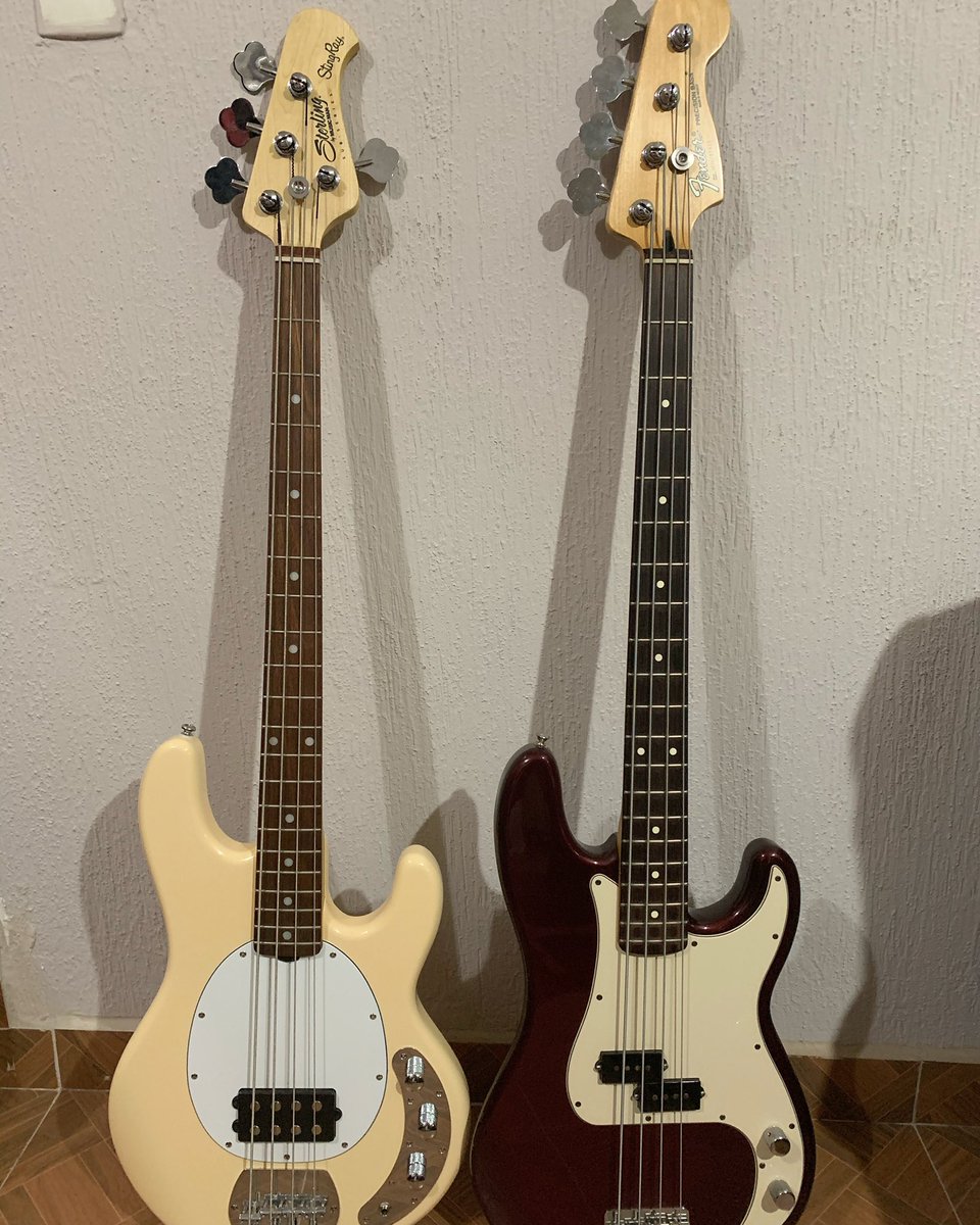 También quería “tuitearla”🎶🎶
.
.
#fender #fenderpbass #sterling #musicmanbass #bassguitar