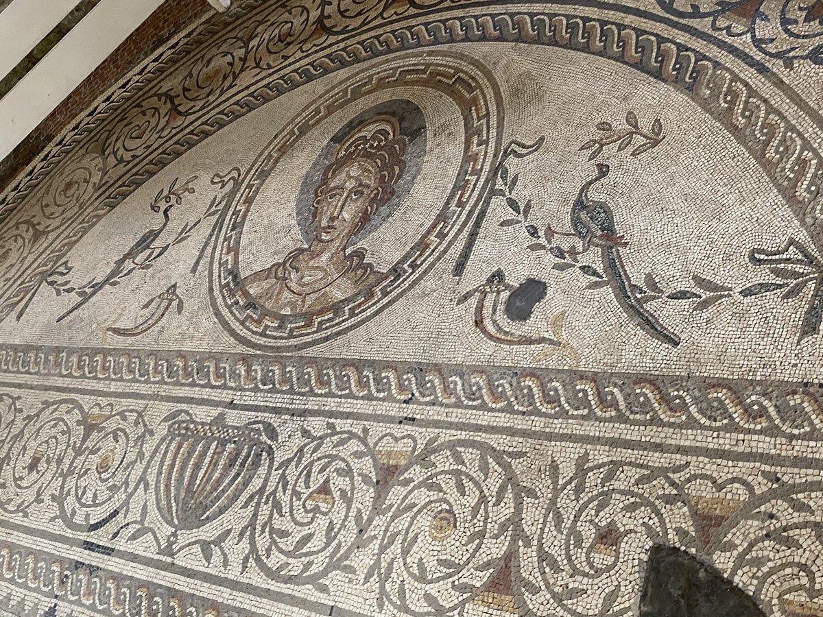 Next is the Venus and Gladiator mosaic. This room was probably used as a winter dining room as it has under floor heating. At the top is Venus flanked by two birds and fern with inlaid glass. Some of the mosaic has been destroyed when the hypocaust collapsed beneath it.