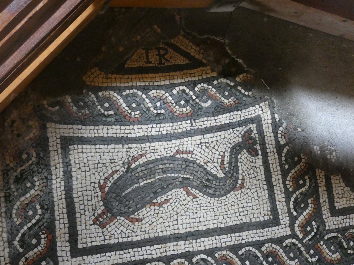 Also in room 8 is a mosaic of a Dolphin with the signature of the artist (TR). He was possibly called TERENTIUS and probably designed other mosaics at the villa.