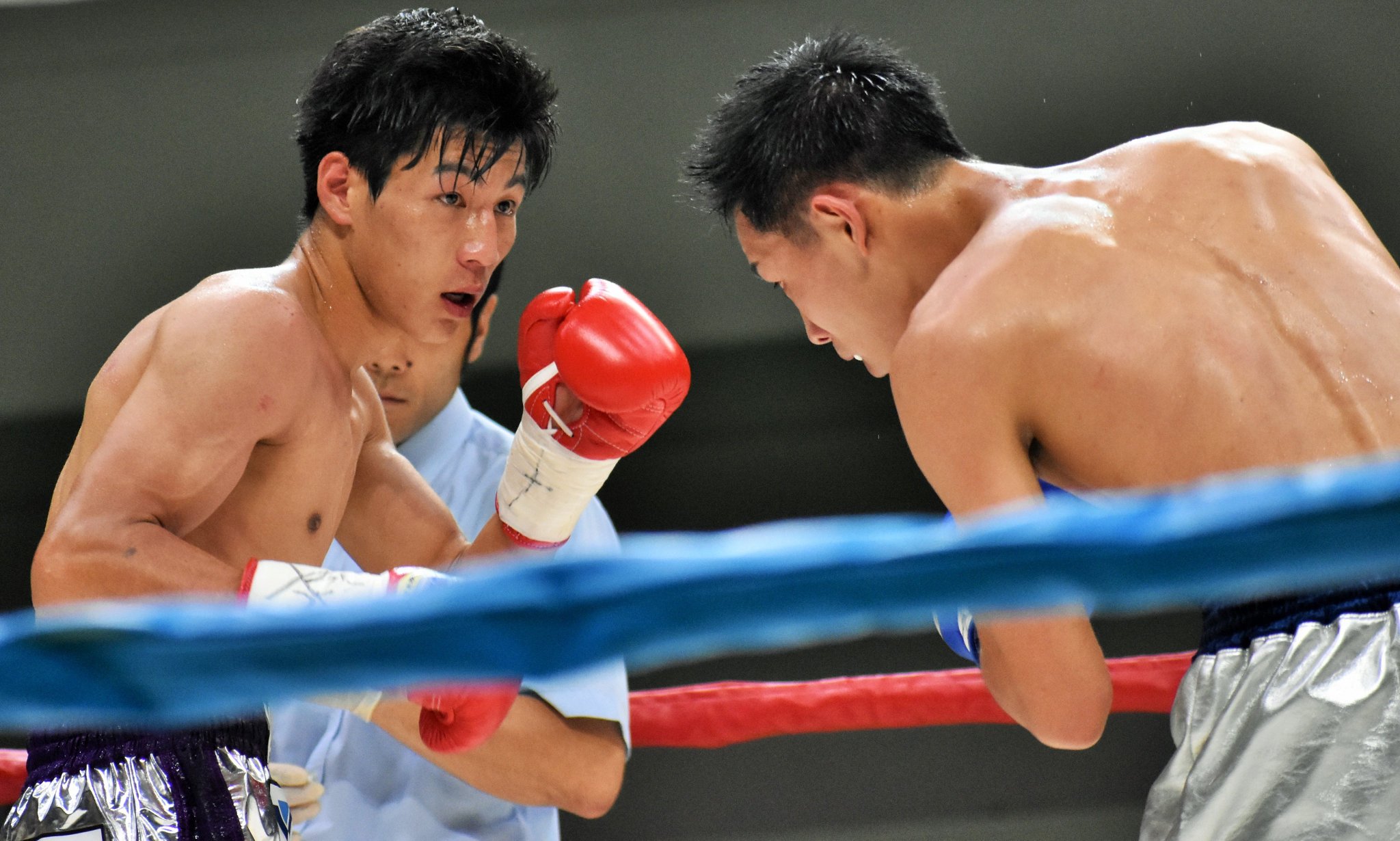 伊藤雅哉 Twitter પર 速報 ボクシング 枚方 セミ 日本ユースsバンタム級戦8r 下町俊貴 グリーンツダ 英洸貴 カシミ 5回1分59秒tkoで下町防衛 下町は 剣士 の風情 冷静に右ジャブを突き刺し 5回は左で2度倒す 好戦的な英はいきなりの右で攻めるが 下町は足 伊藤雅哉 Twitter પર 速報 ボクシング 枚方 セミ 日本ユースsバンタム級戦8r 下町俊貴 グリーンツダ 英洸貴 カシミ 5回1分59秒tkoで下町防衛 下町は 剣士 の風情 冷静に右ジャブを突き刺し 5回は左で2度倒す 好戦的な英はいきなりの右で攻めるが 下町は足