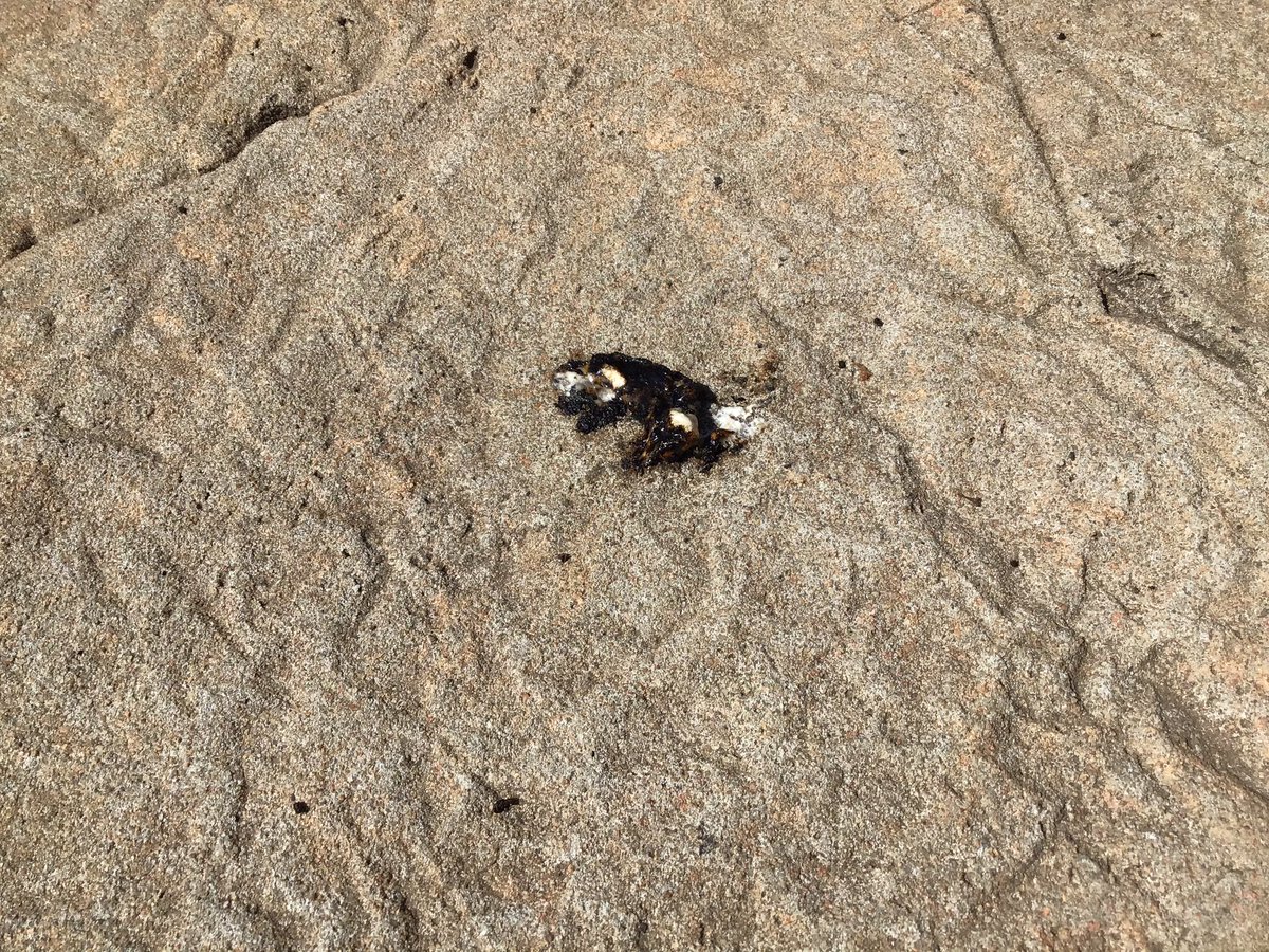 Coach Turner tweet media