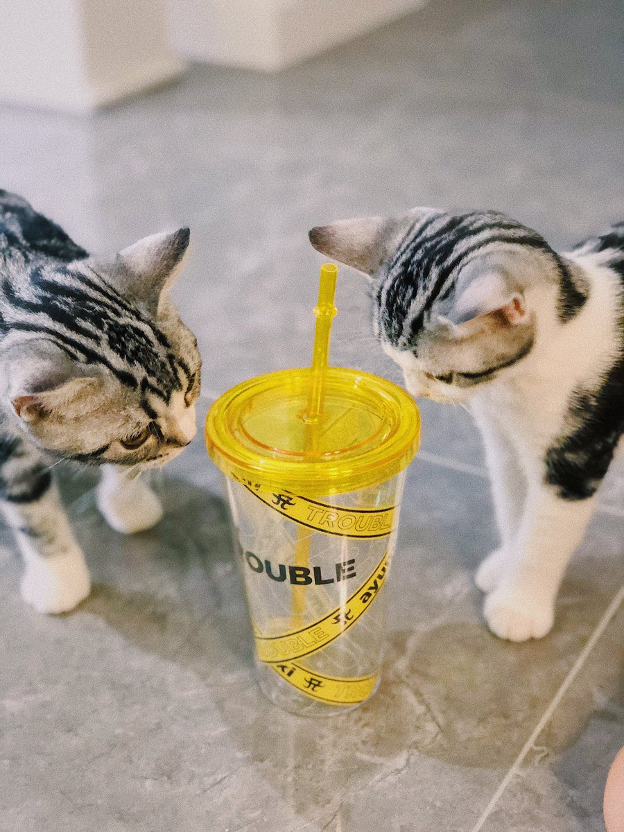 rem1xes's tweet photo. TROUBLE·REM1X vol.2
SUMMER COOL CUP
Type.「TROUBLE」OUT！

TROUBLE款的夏日凉杯实物照来啦！
下周发货哟😎

@ayu_19980408 
#浜崎あゆみ #ayu #ayumihamasaki #滨崎步 #平成の歌姫 #あゆのドラマ
#M愛すべき人がいて
#teamayu #trouble #troubletour2020 #goods #fansmade https://t.co/ywliNo9W4A