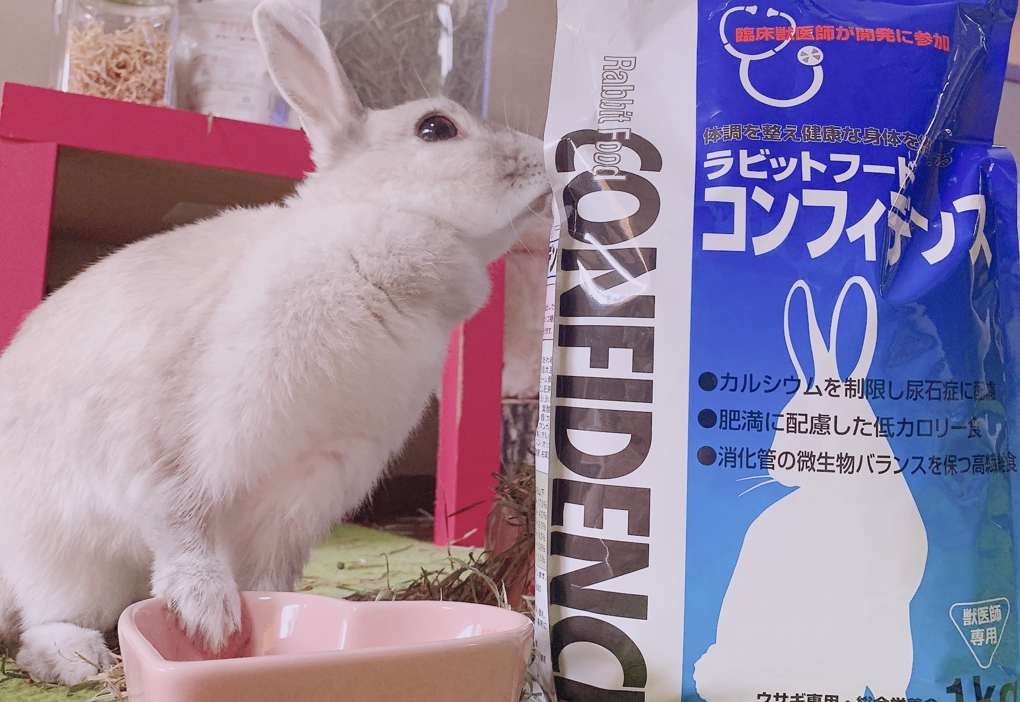 井口病院とぽぽたむ この間ぽぽ子の食欲がなかったときにたくさんの人におすすめしていただいたコンフィデンスあげてみました はじめて食べるフードなのに食いつきがすごいです