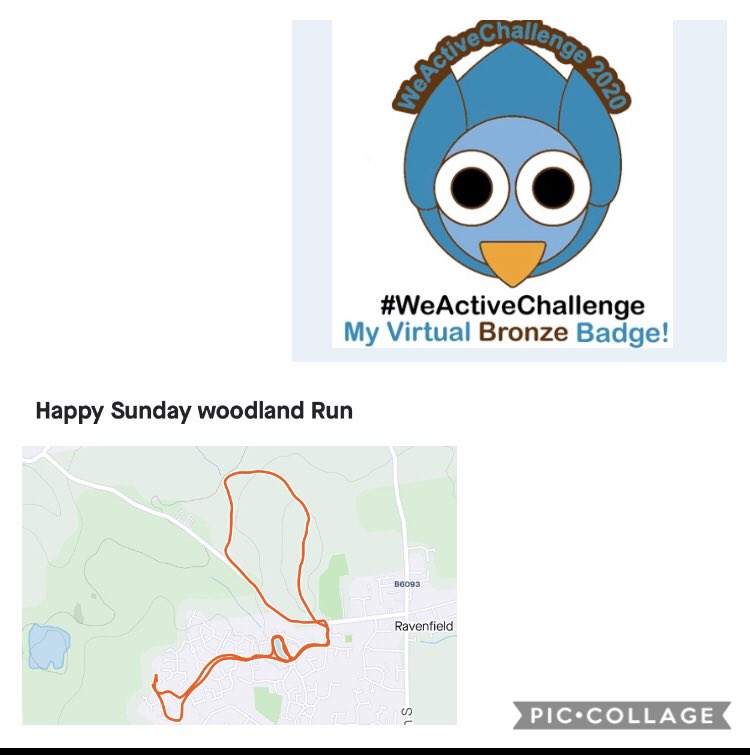 reynolds1975's tweet photo. Great Sunday morning canter through the woods #move #sleep #NhsActive @WeNurses - going for silver now @SheffChildrens who is with me πβ€οΈ https://t.co/rT1cMBtHLY