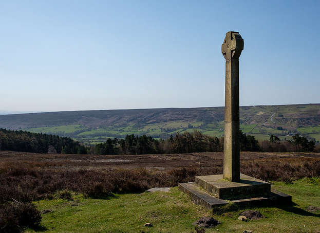 ourrosedale's tweet photo. Another bright start... https://t.co/06oa5CtP3D