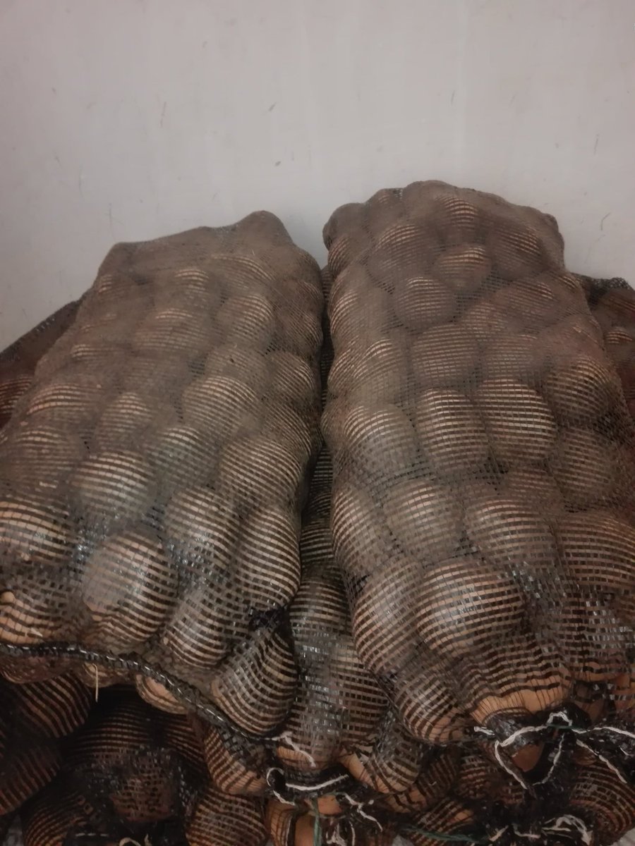 Enterprise263's tweet photo. RT: @MusaemureC Fresh Potatoes for sale, 15 kg @ $8. Free delivery areas around Madokero, Tynwald, Bloomingdale & Westgate. Deliveries in other areas around Harare $10 https://t.co/VS6hI7wCK6
#SupportLocaZW #Enterprise263
