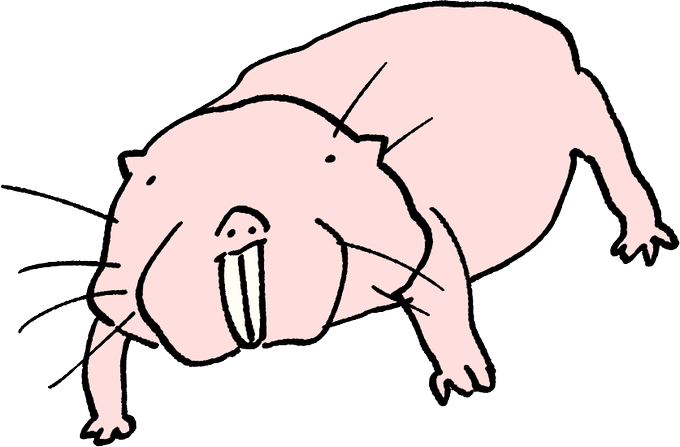 化野こまるのtwitterイラスト検索結果 古い順