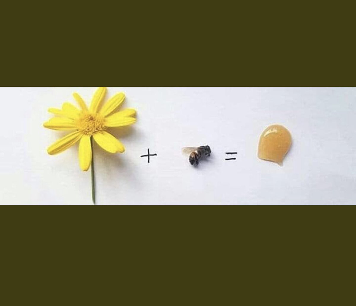 Sefa Tarım (@sefatarim63) on Twitter photo 