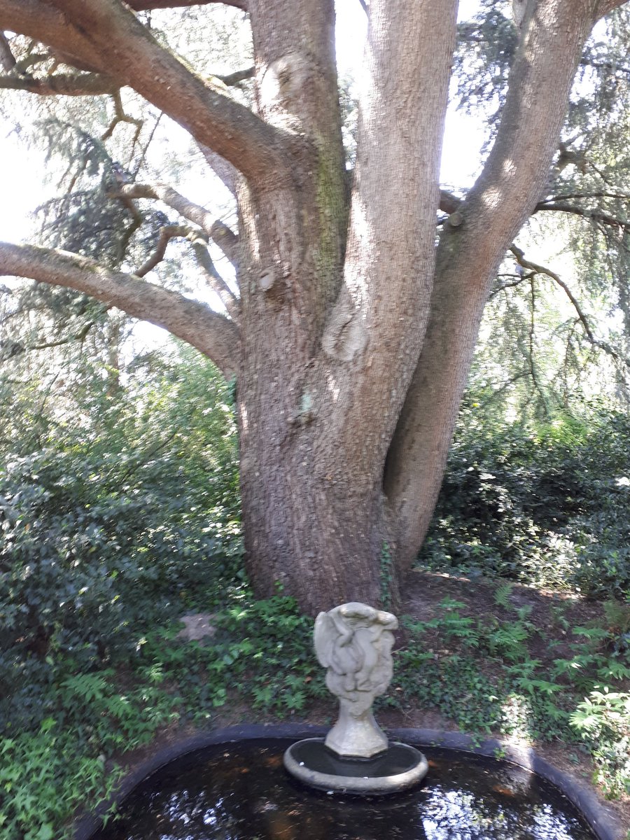 I often cycle there, always a delight when this house of prayer is open. Memories, of  #MarketGarden, the operation meant to be Montgomery's masterstroke. It wasn't; Polish & British paratroopers and citizens paid the price for his mistakes. In a private garden, Pegasus rises ...