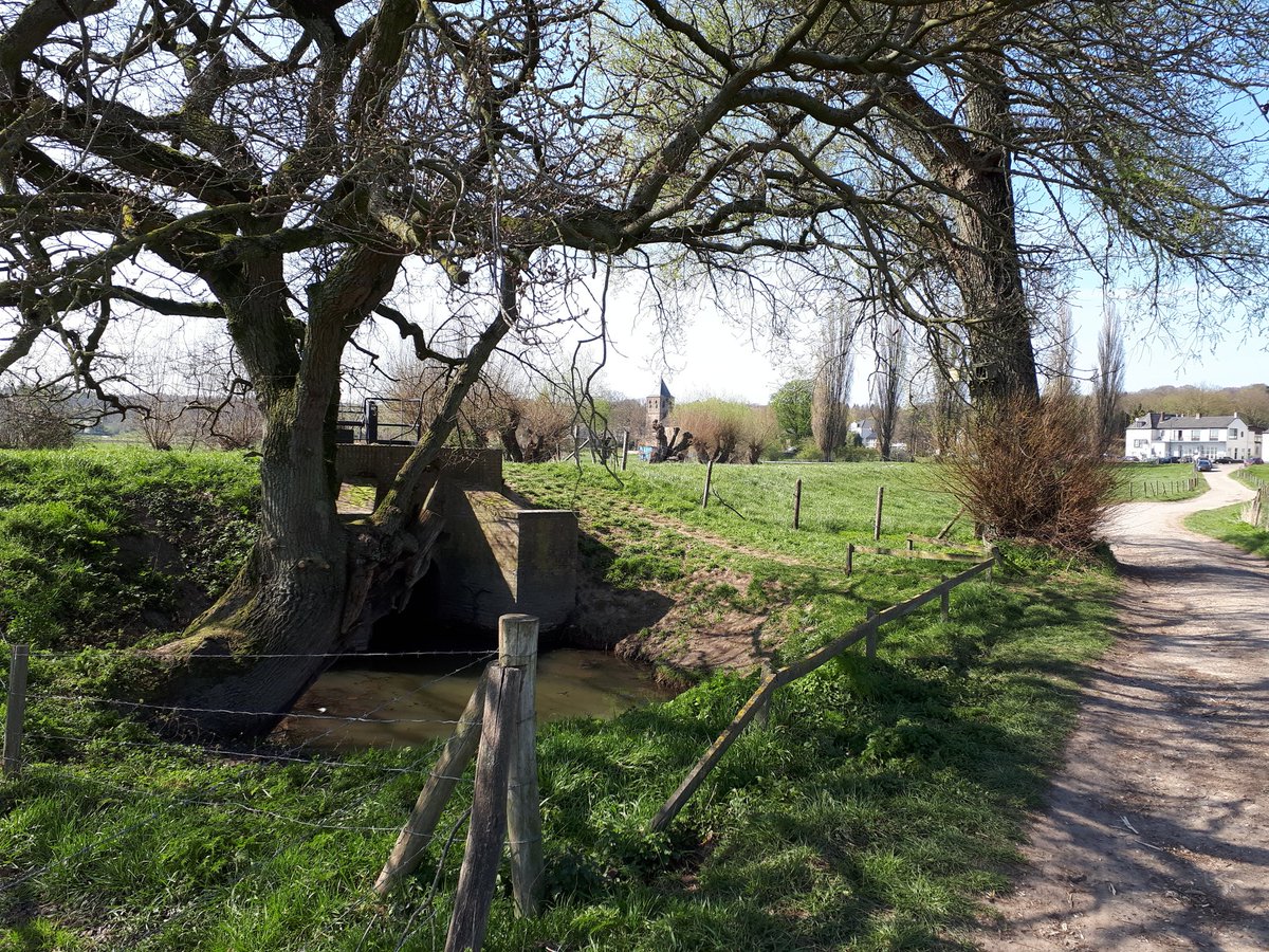 The  #airborne, september '44 and the botched  #MarketGarden operation is an inseparable part of regional memory & traditions, and Oosterbeek church is almost a shrine to their sacrifice in the liberation of the Netherlands. The partly destroyed church is beautifully restored now.