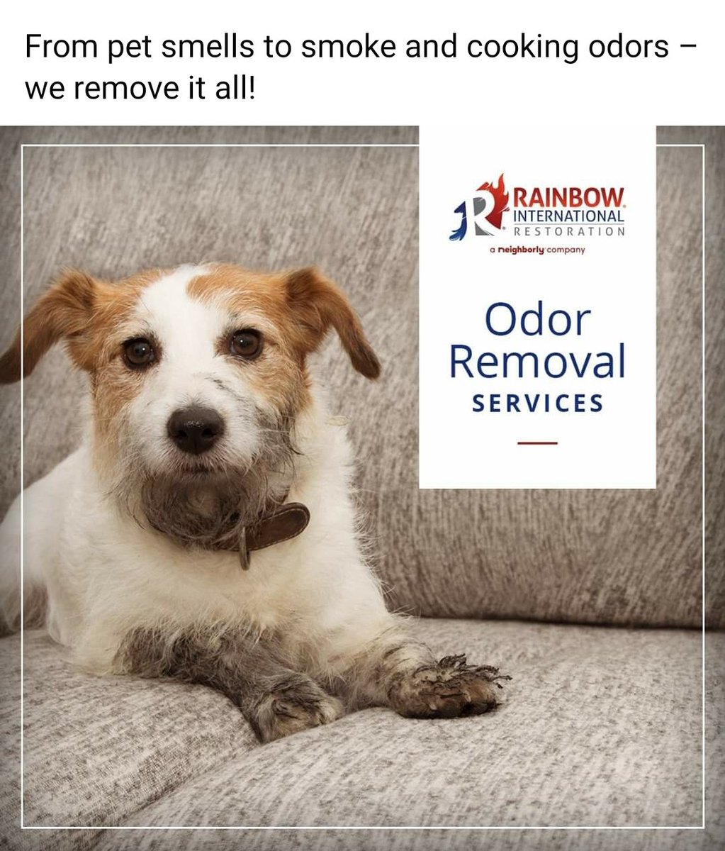 Call today to make your appointment. 
757-538-7799
#odor #smoke #rainbow #suffolk #franklin #Smithfield #isleofwight #zuni