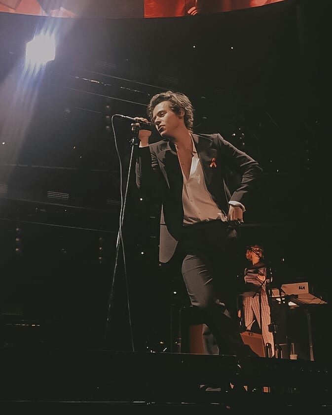 Thread: Harry Styles "The Kiwi Pose"